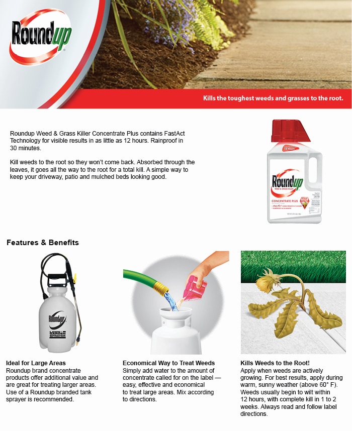 Roundup Weed and Grass Killer 64 oz. Concentrate Plus5006010 The