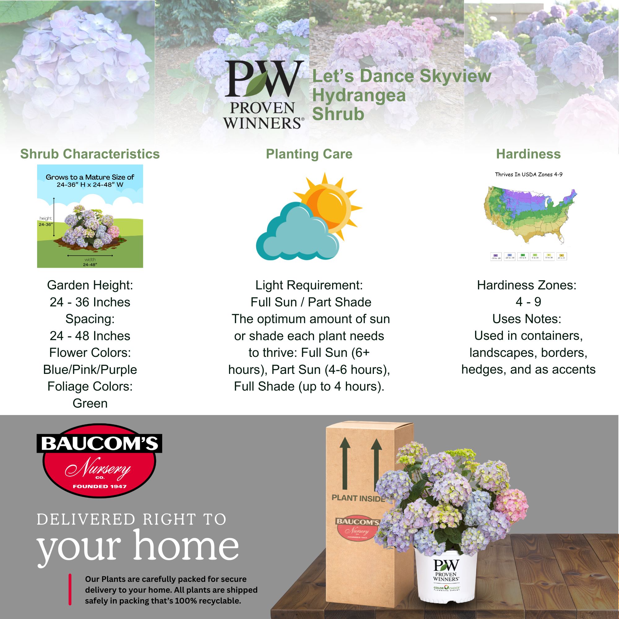 PROVEN WINNERS 2 Gal. Let's Dance Skyview Hydrangea Shrub 18334 - The ...